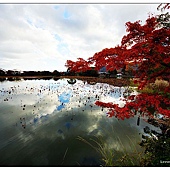 nEO_IMG_DSC06283 nEO_IMG_DSC06283