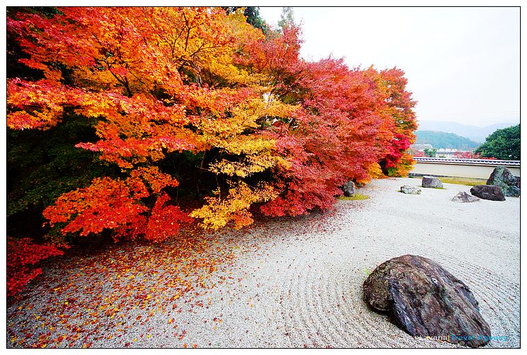 nEO_IMG_DSC04152 nEO_IMG_DSC04152