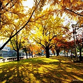 nEO_IMG_DSC04286 nEO_IMG_DSC04286