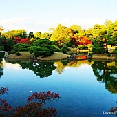 nEO_IMG_DSC04783 nEO_IMG_DSC04783