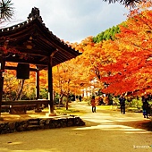 nEO_IMG_DSC04991 nEO_IMG_DSC04991