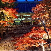 nEO_IMG_DSC05273 nEO_IMG_DSC05273