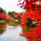 nEO_IMG_DSC05786 nEO_IMG_DSC05786