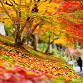 nEO_IMG_DSC06143 nEO_IMG_DSC06143