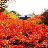 nEO_IMG_DSC06590 nEO_IMG_DSC06590