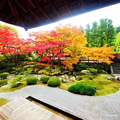 nEO_IMG_DSC06629 nEO_IMG_DSC06629