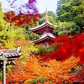 nEO_IMG_DSC06735 nEO_IMG_DSC06735