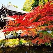 nEO_IMG_DSC06875 nEO_IMG_DSC06875