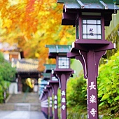 nEO_IMG_DSC06931 nEO_IMG_DSC06931