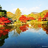 nEO_IMG_DSC06948 nEO_IMG_DSC06948