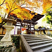 nEO_IMG_DSC08269 nEO_IMG_DSC08269