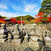 nEO_IMG_DSC08374 nEO_IMG_DSC08374