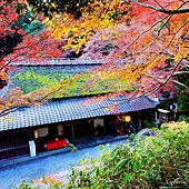 nEO_IMG_DSC08560 nEO_IMG_DSC08560