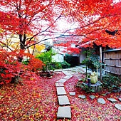nEO_IMG_DSC08801 nEO_IMG_DSC08801