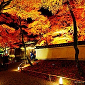 nEO_IMG_DSC09107 nEO_IMG_DSC09107