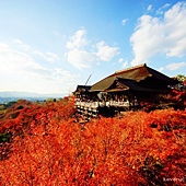 nEO_IMG_DSC00095 nEO_IMG_DSC00095