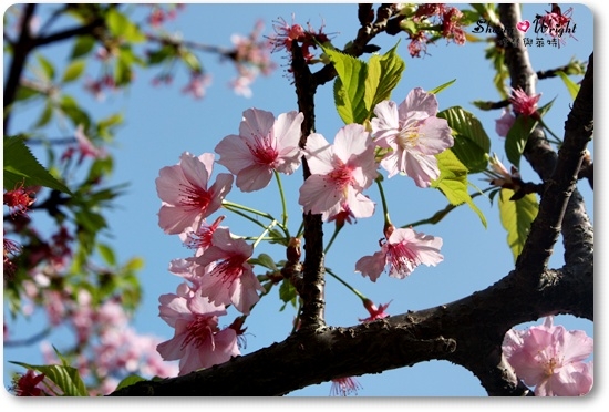 玻工館 1 玻工館 1