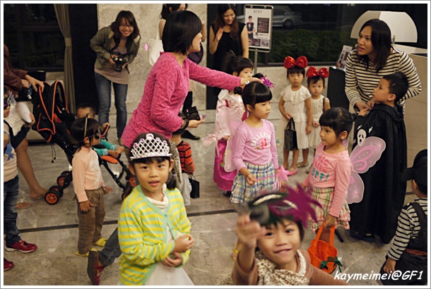 P1170554 P1170554