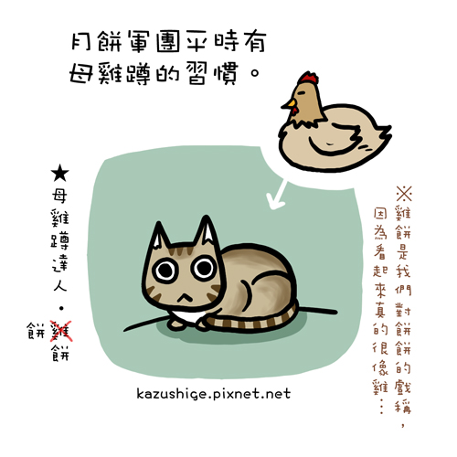 貓奴33-1 貓奴33-1