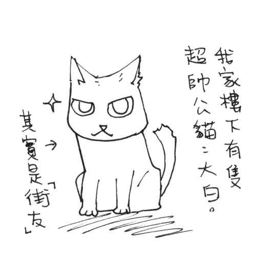 貓奴40-1