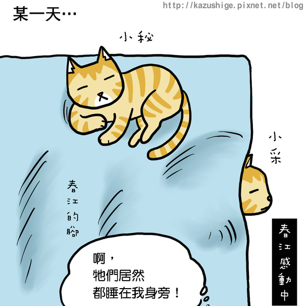 貓奴11-1.jpg 貓奴11-1.jpg
