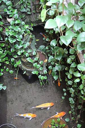 IMG_9629.jpg IMG_9629.jpg