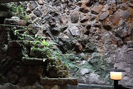 IMG_9658.jpg IMG_9658.jpg