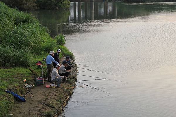 IMG_0246.jpg IMG_0246.jpg