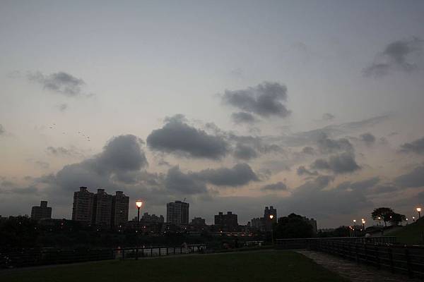 IMG_0307.jpg IMG_0307.jpg