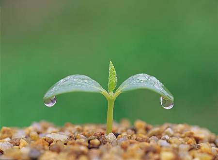 理性,感性,愛,男女關係
