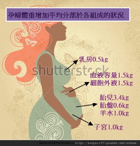 stock-vector-silhouette-of-pregnant-woman-with-ornament-90544471 stock-vector-silhouette-of-pregnant-woman-with-ornament-90544471