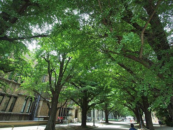 P5141074.JPG P5141074.JPG