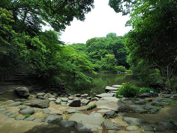 P5141076.JPG P5141076.JPG