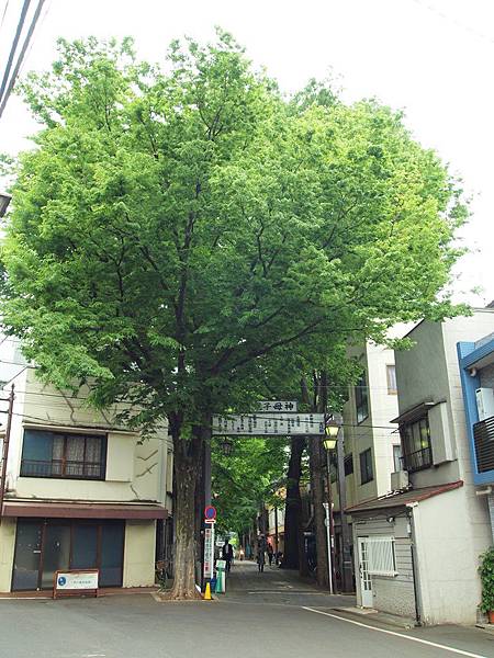 P5151094.JPG P5151094.JPG