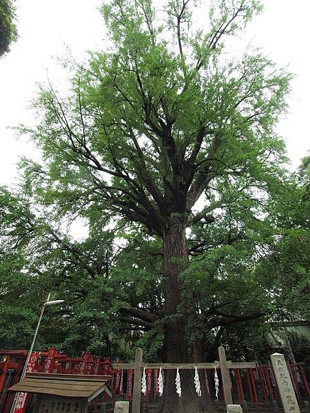 P5151096.JPG P5151096.JPG