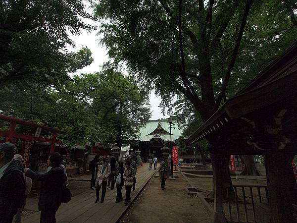 P5151098.JPG P5151098.JPG