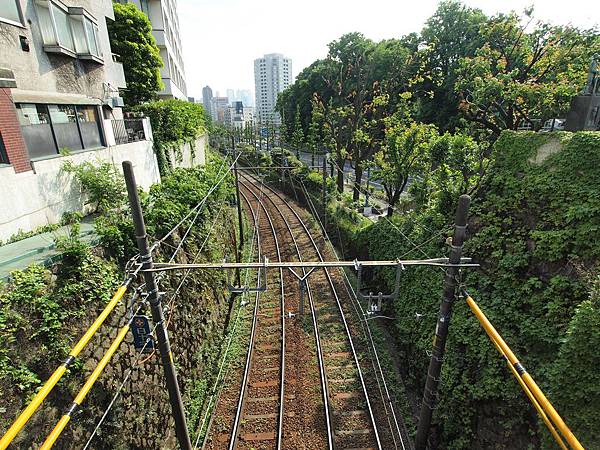 P5151099.JPG P5151099.JPG