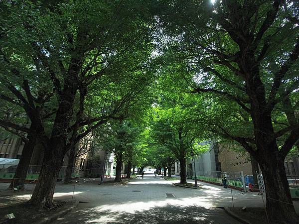 P5161107.JPG P5161107.JPG