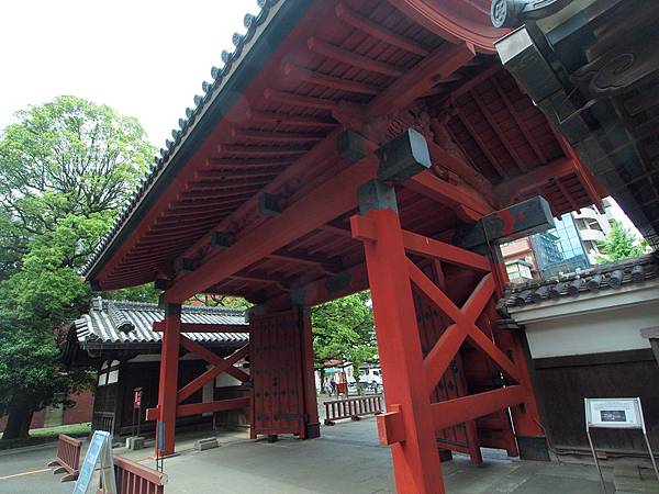 P5161111.JPG P5161111.JPG