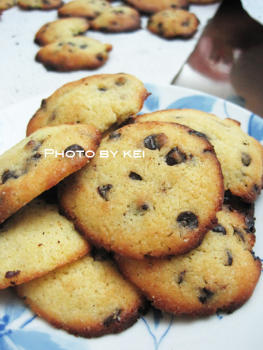 choco chip cookie.jpg choco chip cookie.jpg