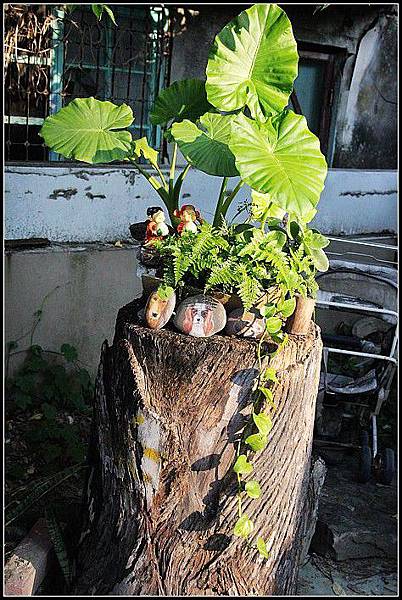 nEO_IMG_IMG_7930 nEO_IMG_IMG_7930