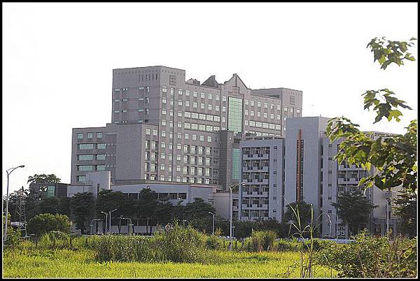 nEO_IMG_IMG_7942 nEO_IMG_IMG_7942