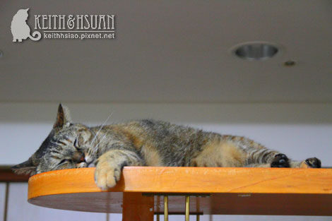 IMG_1754.jpg IMG_1754.jpg