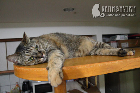 IMG_1757.jpg IMG_1757.jpg