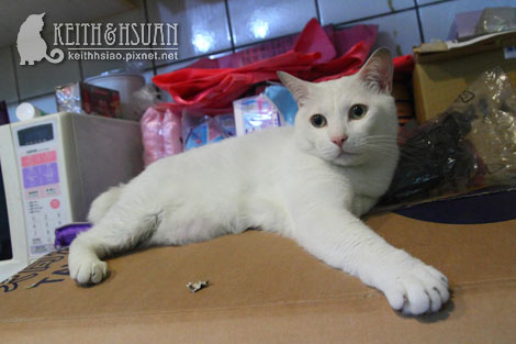 IMG_1759.jpg IMG_1759.jpg