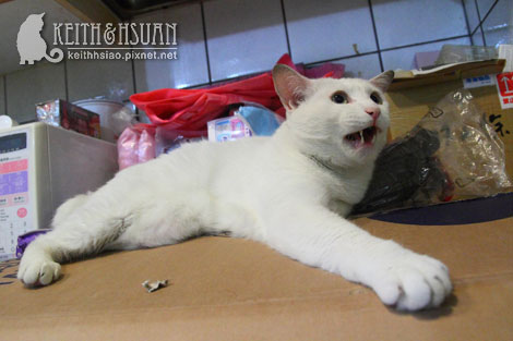 IMG_1760.jpg IMG_1760.jpg