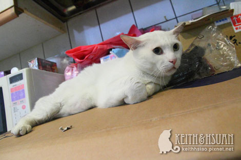 IMG_1763.jpg IMG_1763.jpg