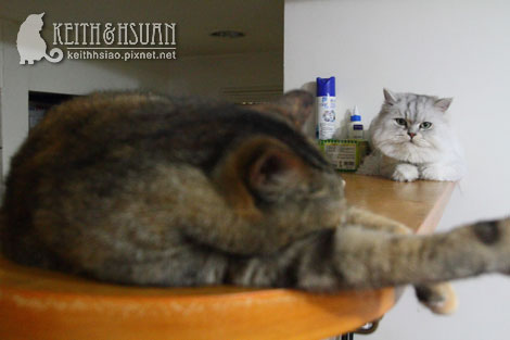 IMG_1778.jpg IMG_1778.jpg