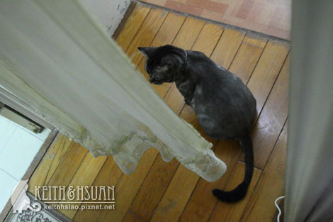 IMG_1787.jpg IMG_1787.jpg