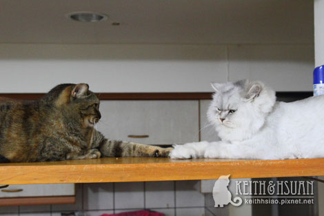 IMG_1796.jpg IMG_1796.jpg